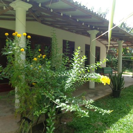 Green Valley Home Stay Talpe Εξωτερικό φωτογραφία